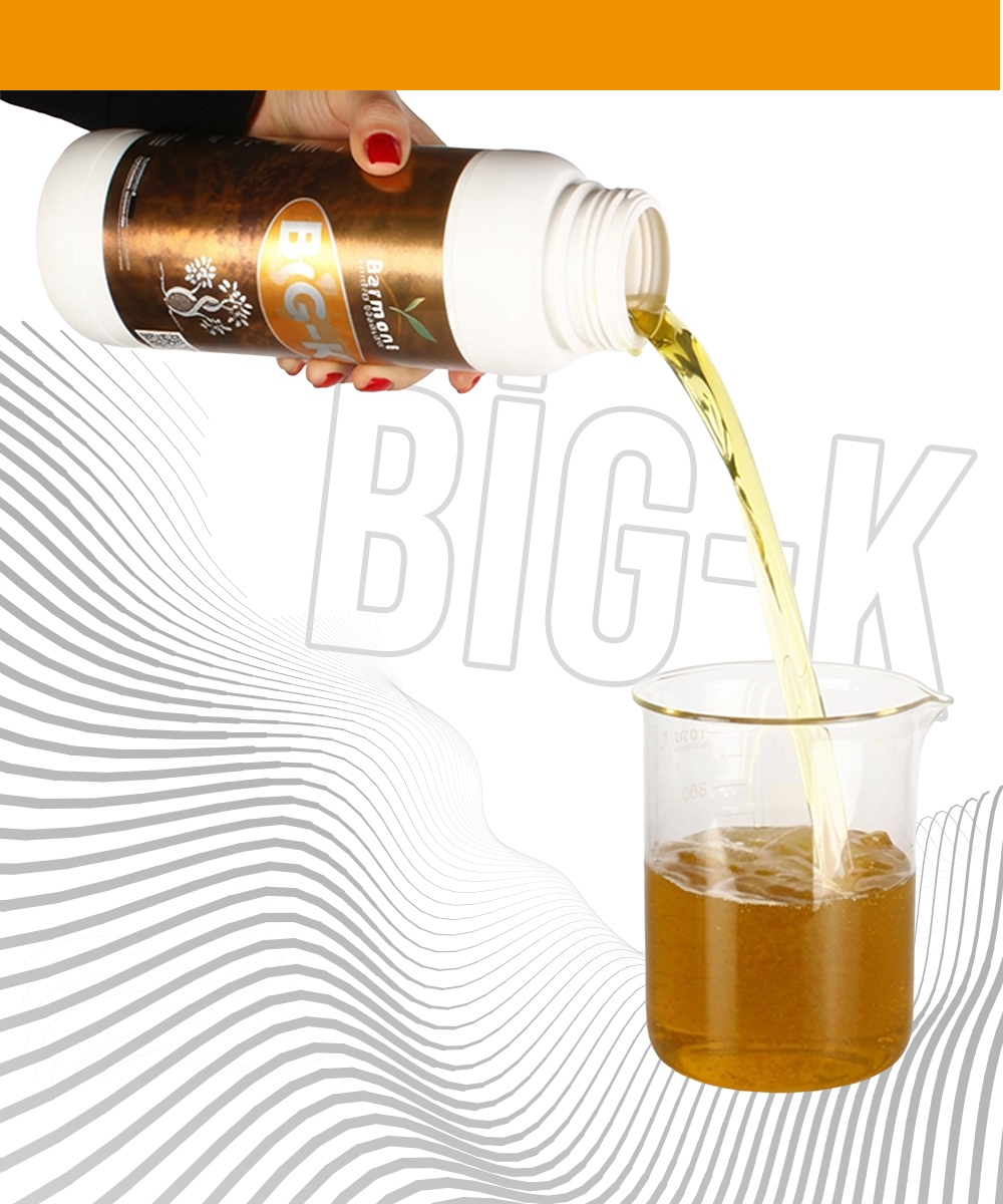 Ferment Big-K