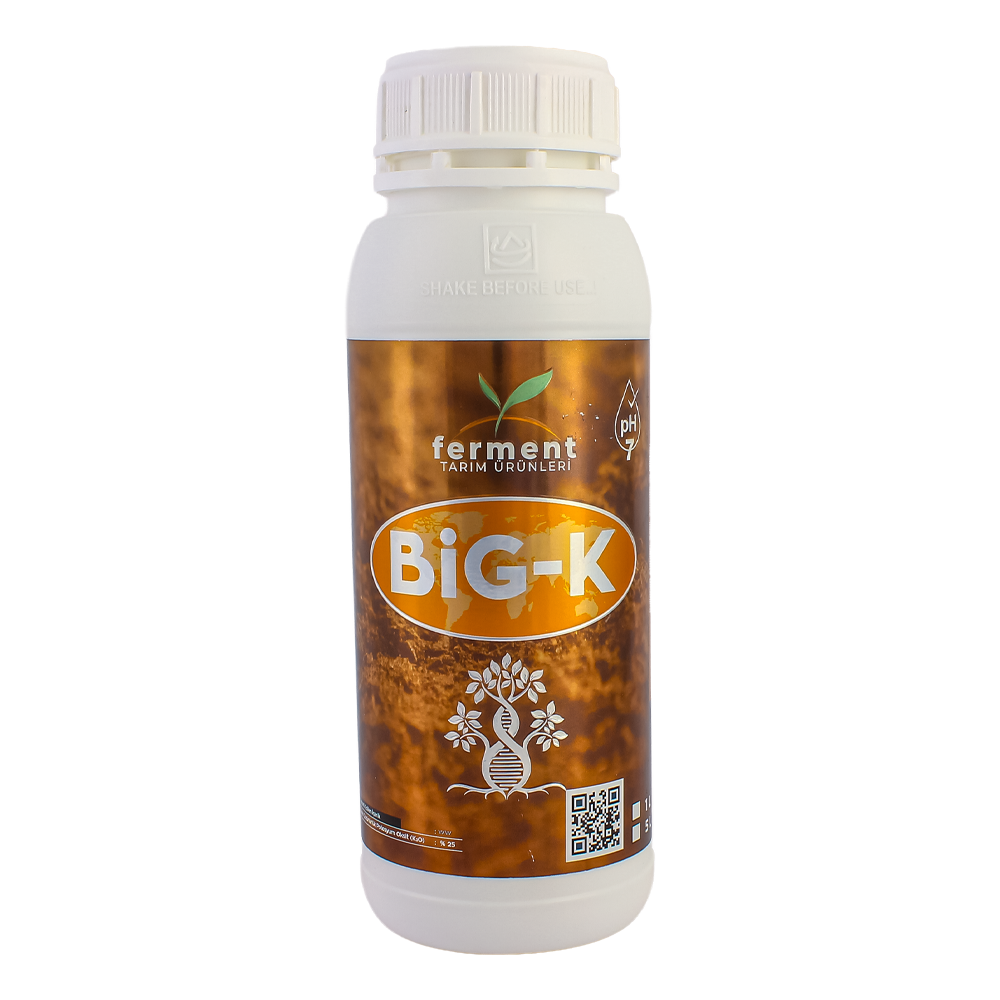 Ferment Big-K