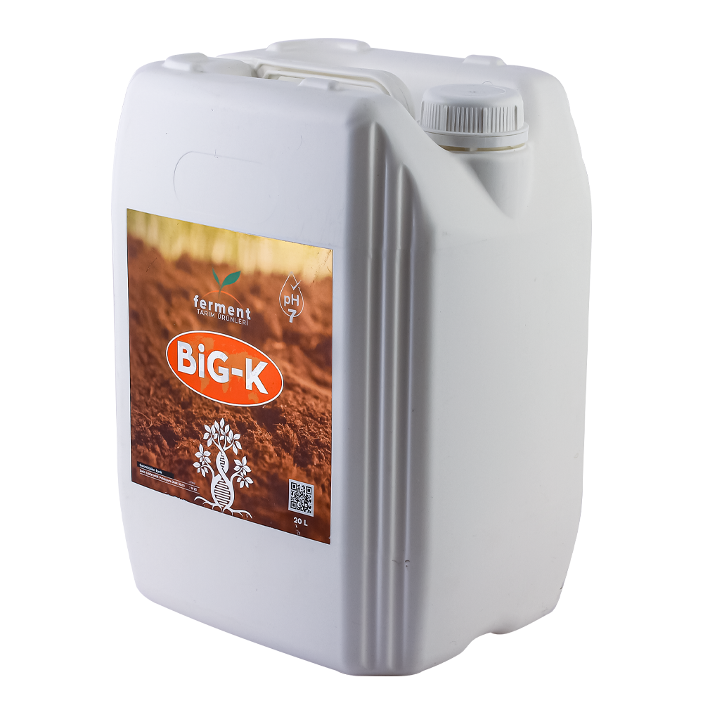 Ferment Big-K
