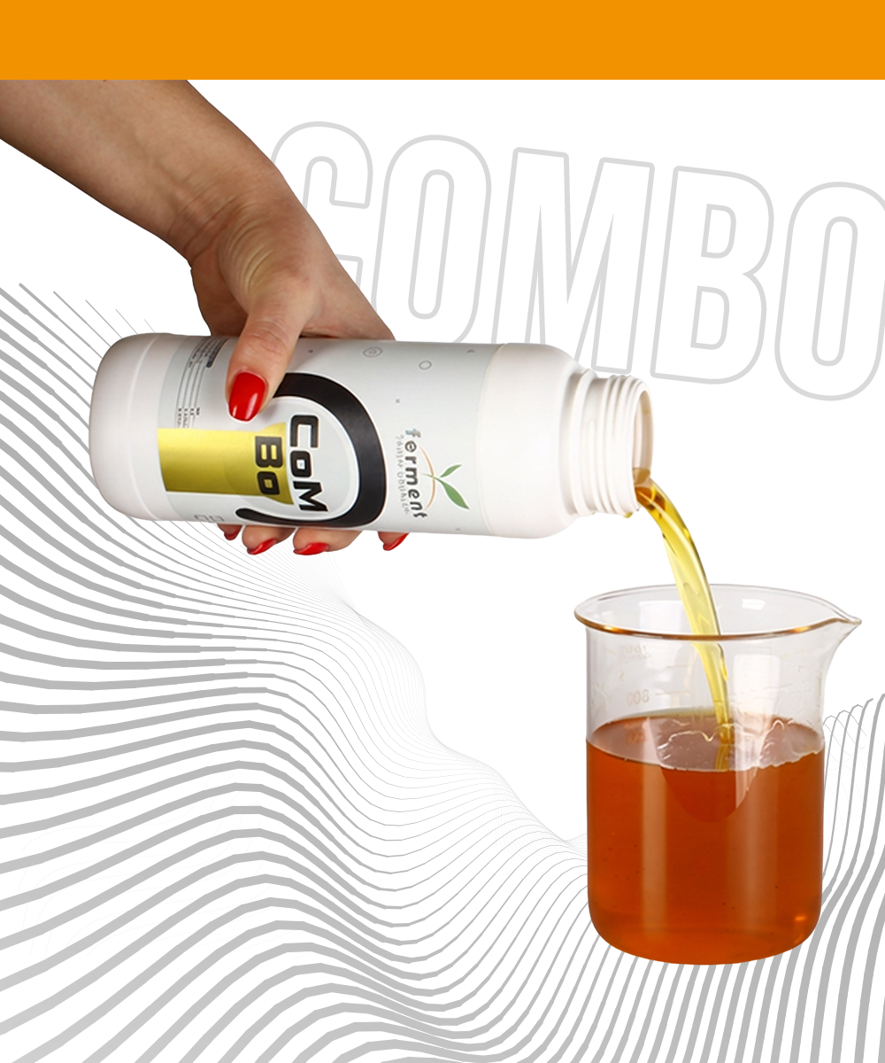Ferment Combo