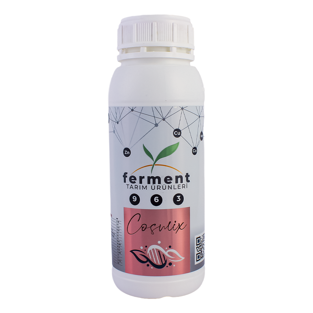 Ferment Cosmix