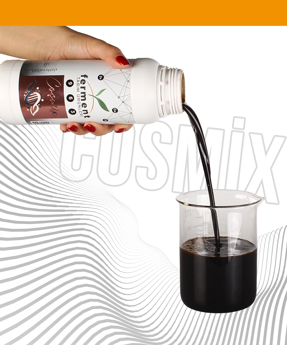 Ferment Cosmix