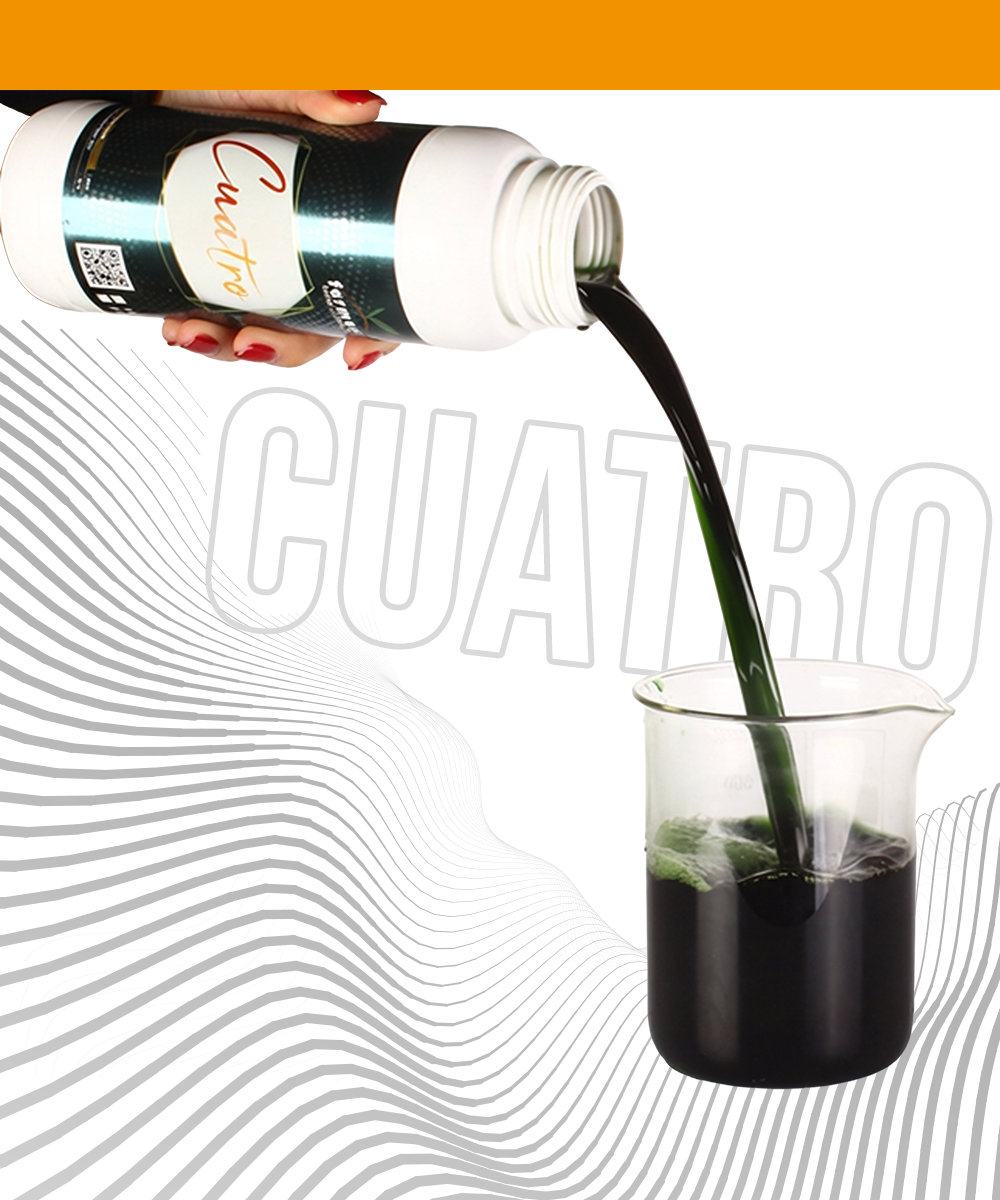 Ferment Cuatro