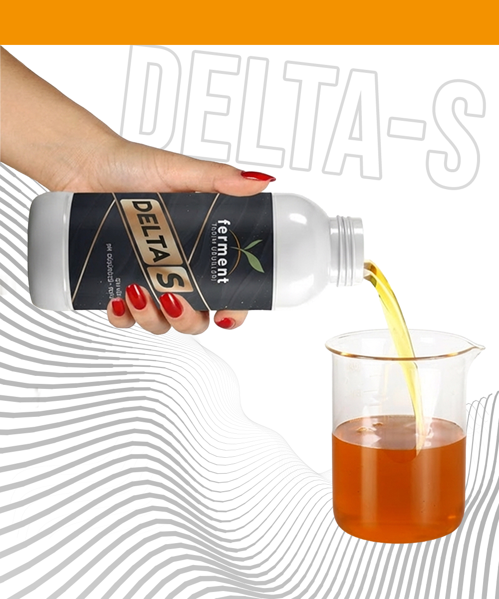 Ferment Delta S