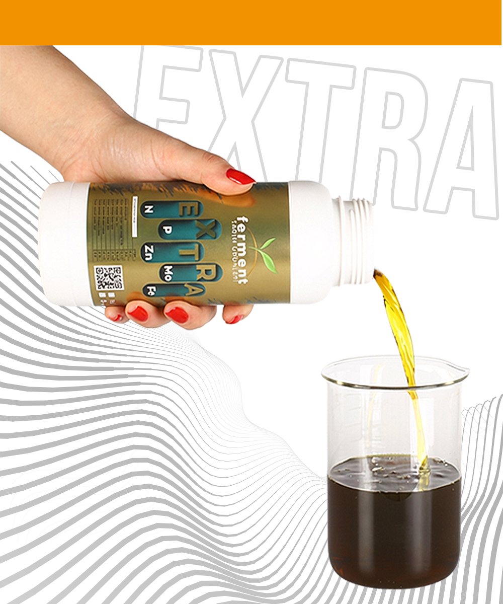 Ferment Extra