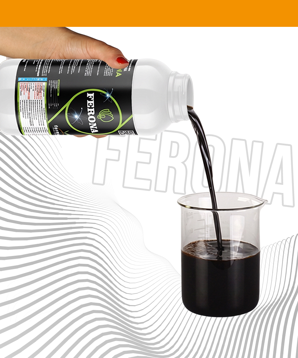 Ferment Ferona