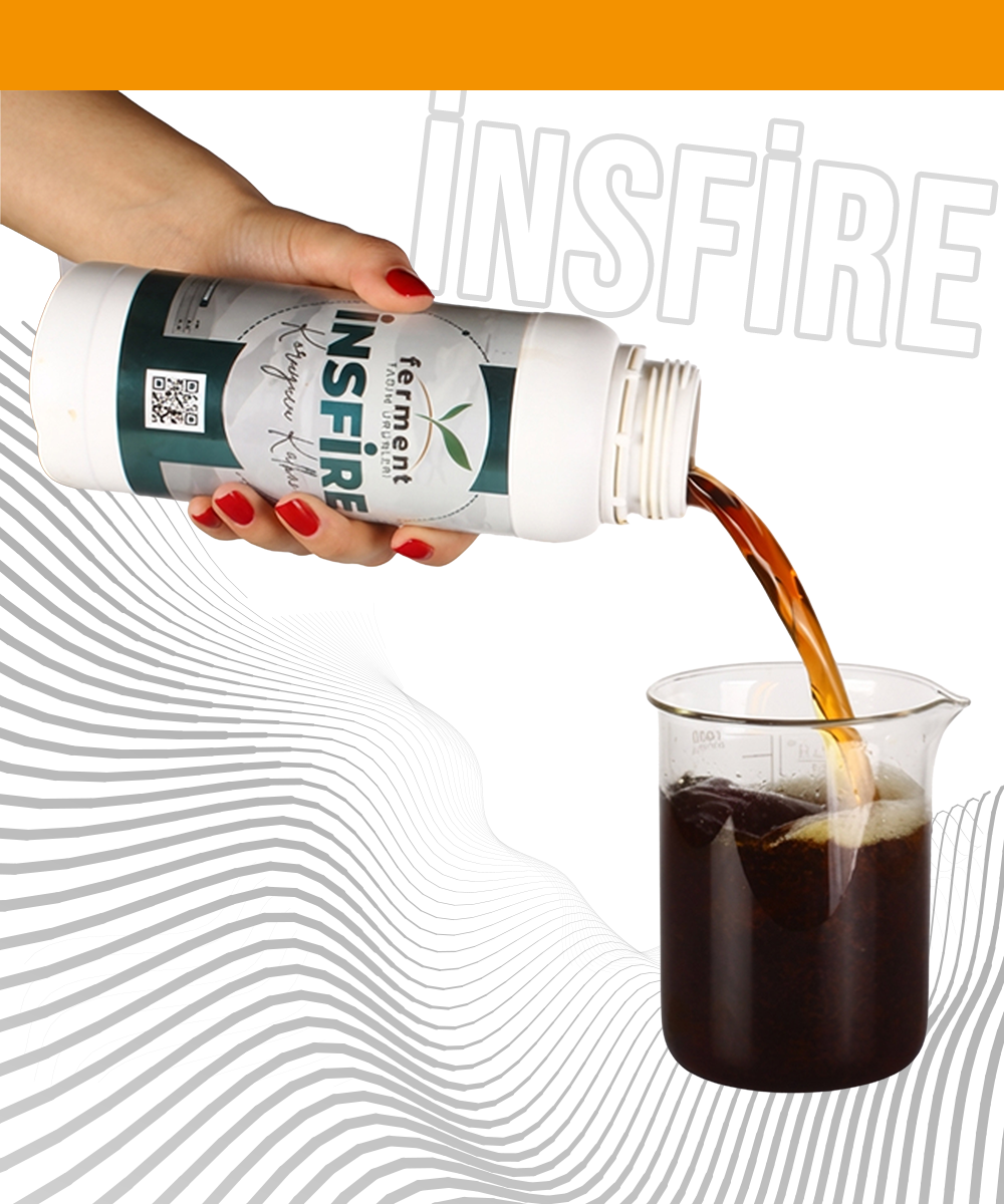 Ferment İnsfire