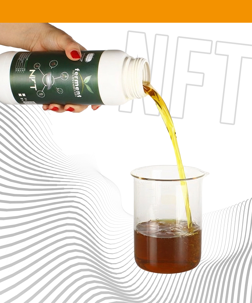 Ferment NFT