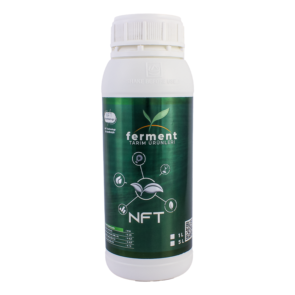 Ferment NFT