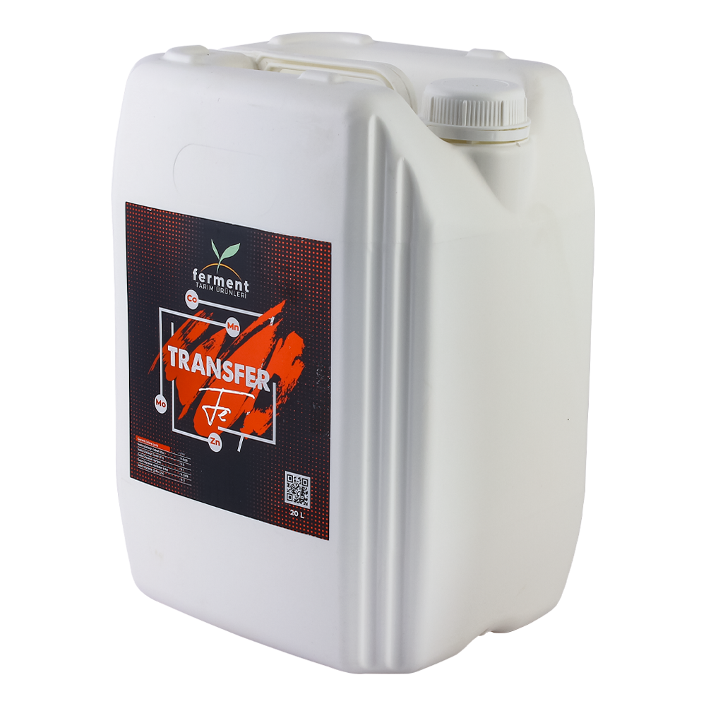 Ferment Transfer