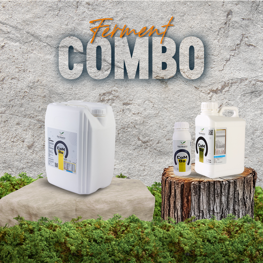 ferment-combo