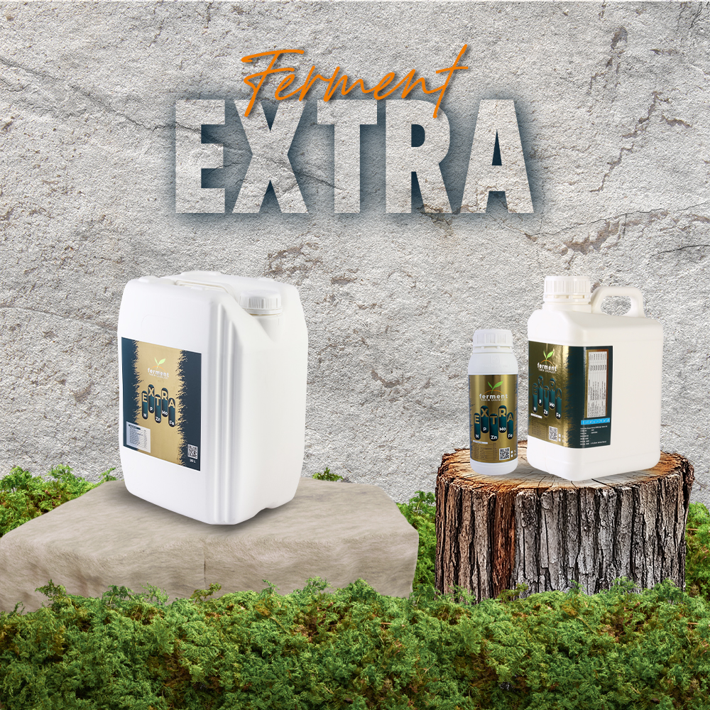 ferment-extra