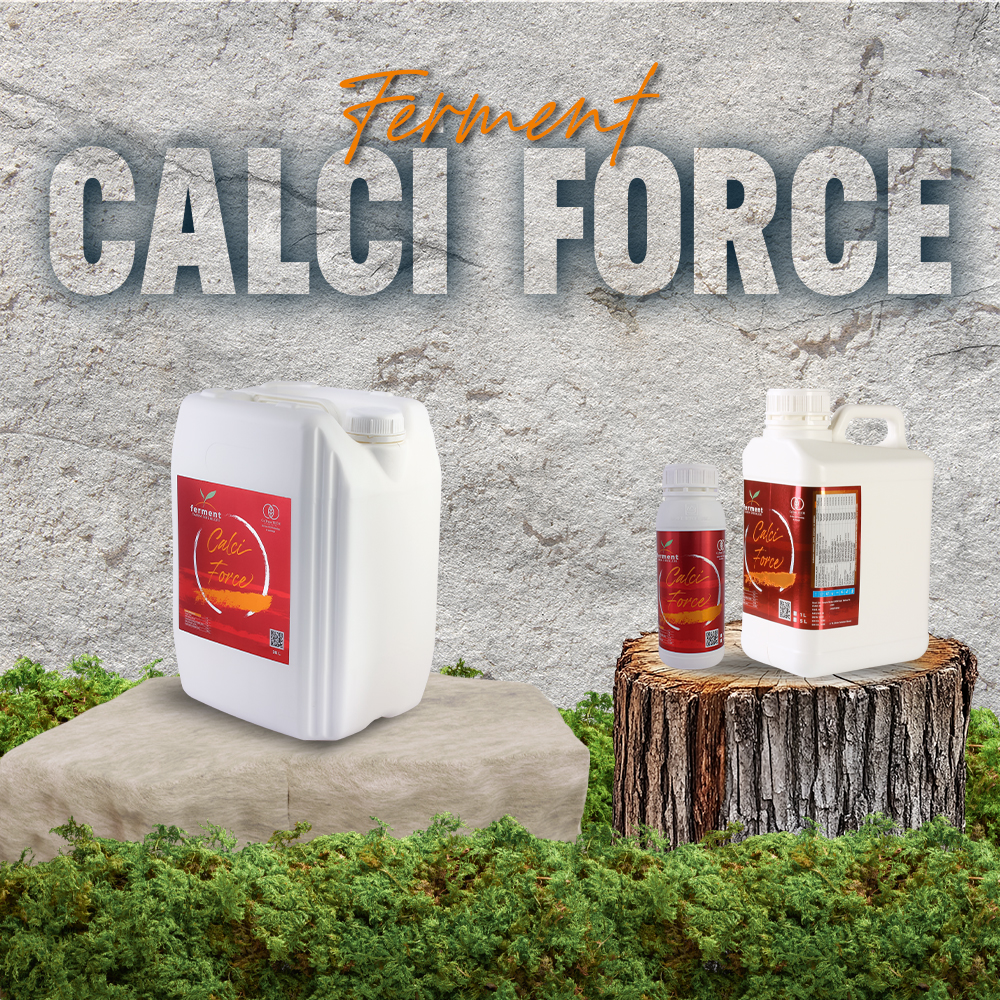 ferment-calci-force