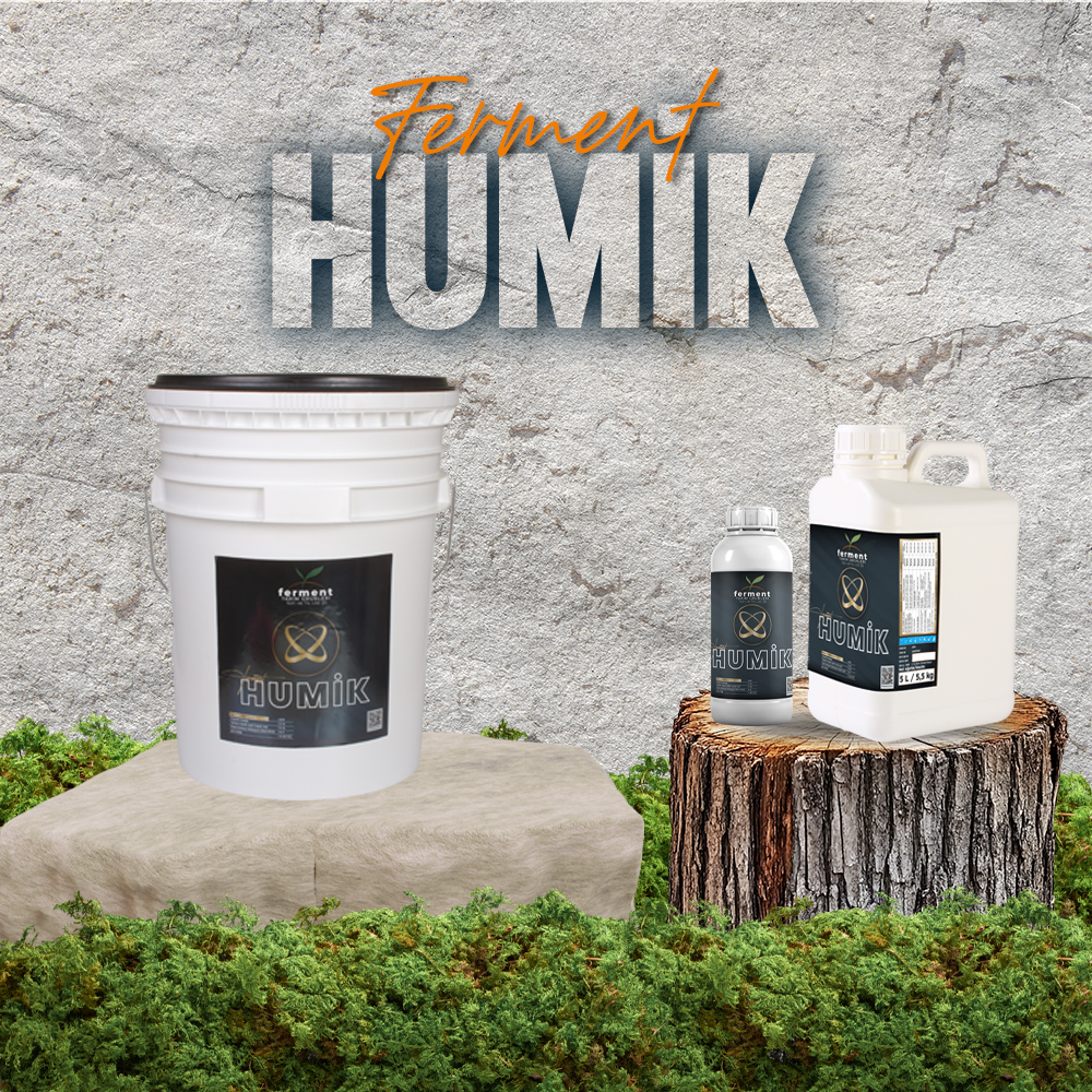 ferment-humik