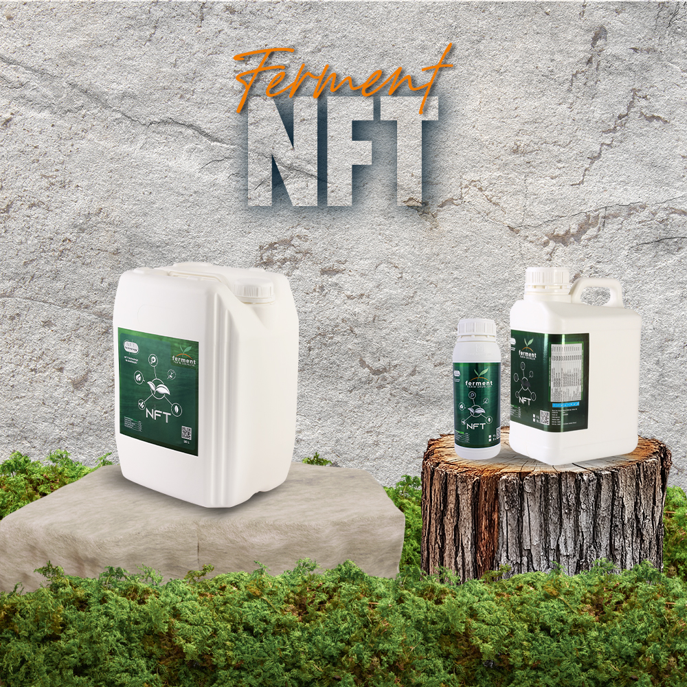 ferment-nft